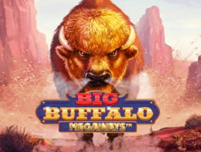 Logo of Big Buffalo Megaways from Skywind Group at 247Bet Casino